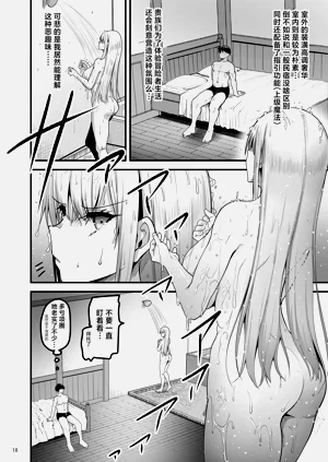 第17页图