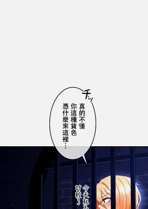 第218頁圖