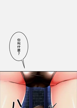第219頁圖