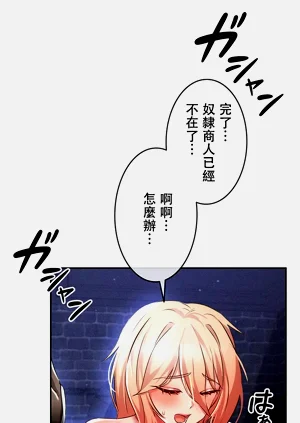 第245頁圖