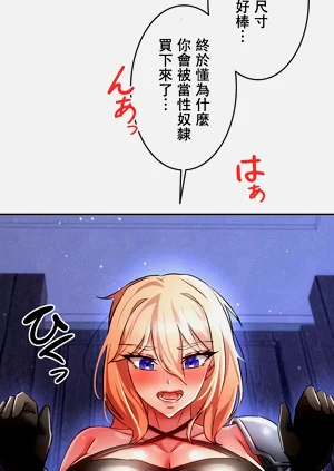 第276頁圖