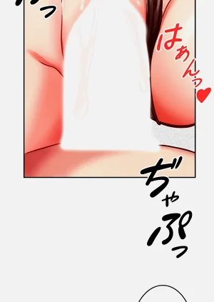 第301頁圖