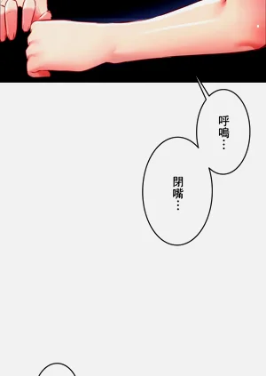 第339頁圖