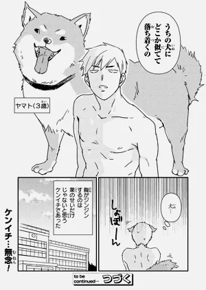 第36页图