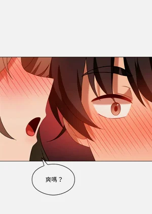 第262頁圖