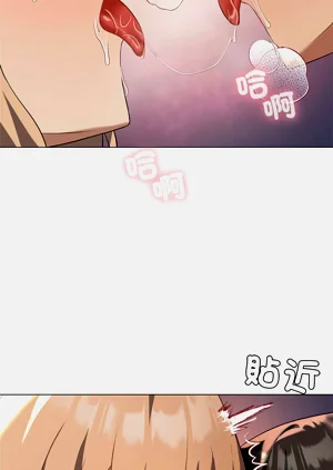 第448頁圖