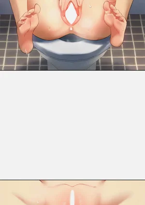 第510頁圖