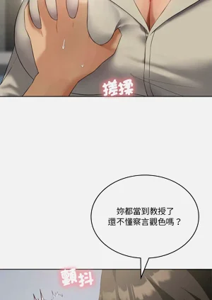 第538頁圖