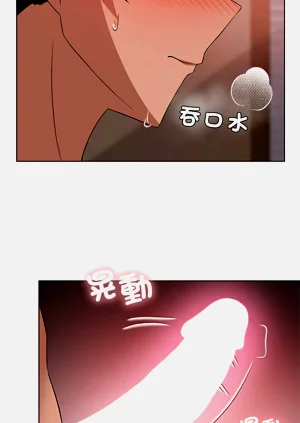 第565頁圖