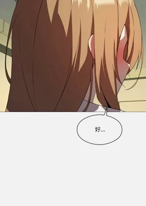 第96頁圖
