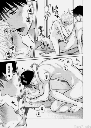 第237頁圖