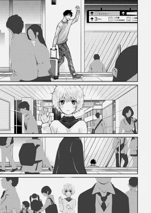 第247頁圖