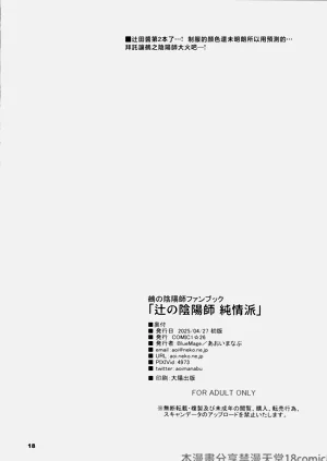 第17頁圖