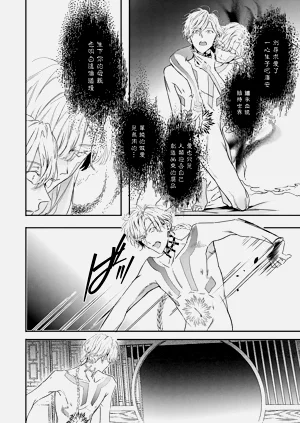 第244頁圖