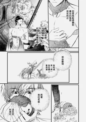 第307頁圖