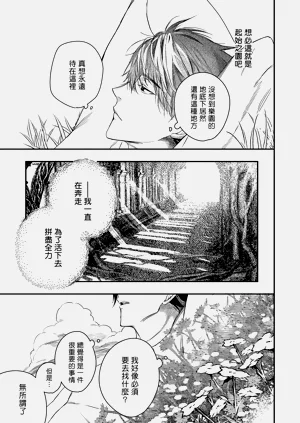 第309頁圖