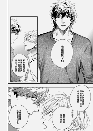 第325頁圖
