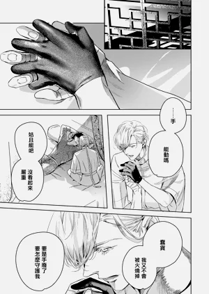 第381頁圖