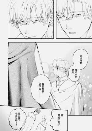 第409頁圖