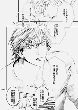 第493頁圖