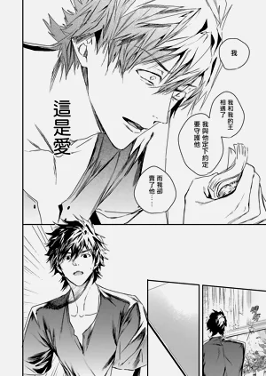 第91頁圖