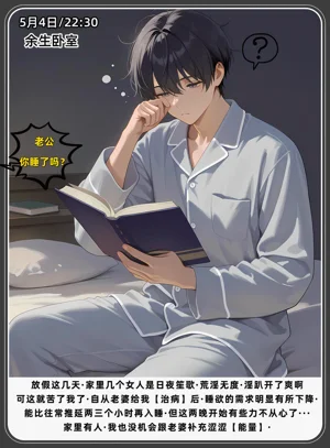 第454頁圖