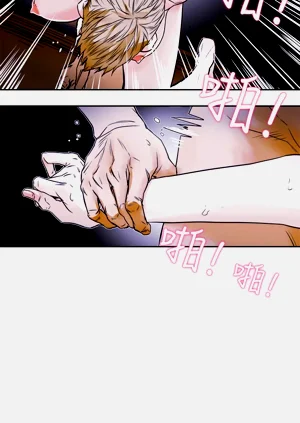 第211页图