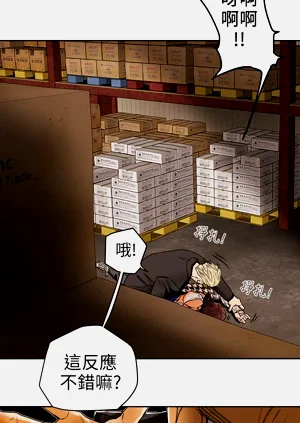 第294页图