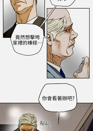 第323页图