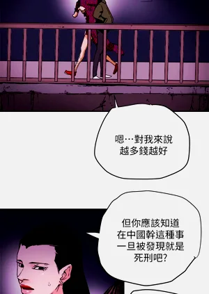 第506页图