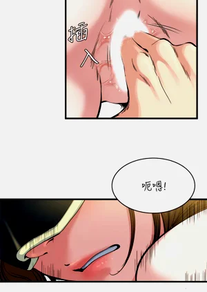 第517页图