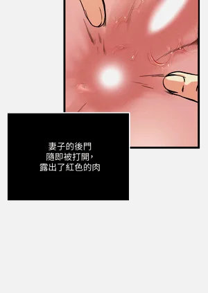 第576页图