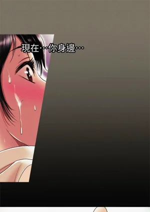 第256頁圖
