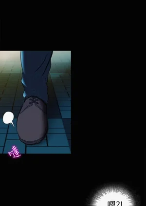 第298頁圖