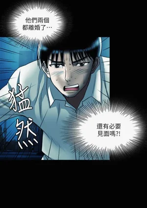 第300頁圖