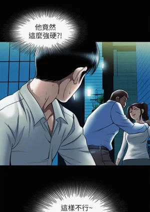第311頁圖