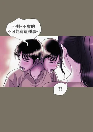 第325頁圖