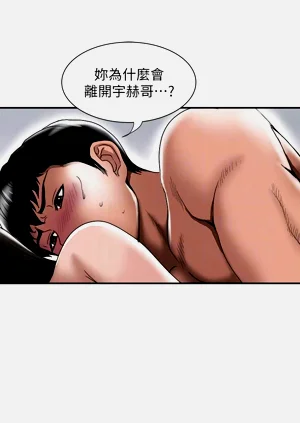 第499頁圖