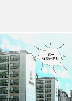 第511頁圖