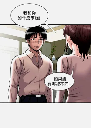 第517頁圖