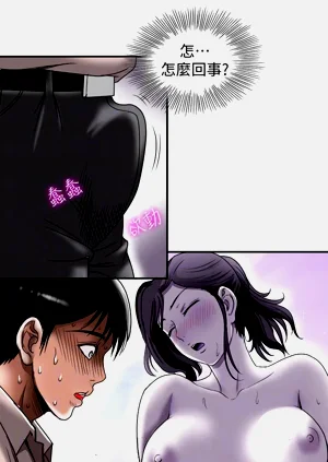 第526頁圖