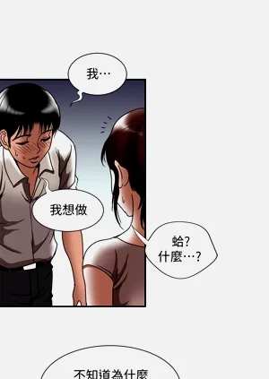 第527頁圖