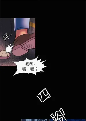 第542頁圖