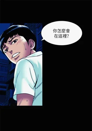 第547頁圖