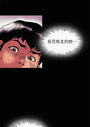 第560頁圖