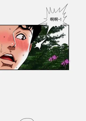 第590頁圖