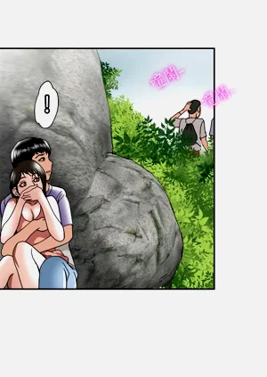 第592頁圖