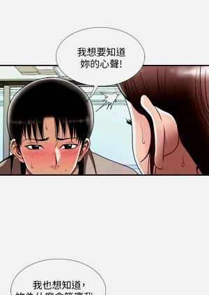 第603頁圖