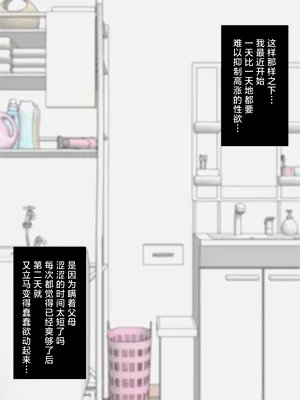 第17页图