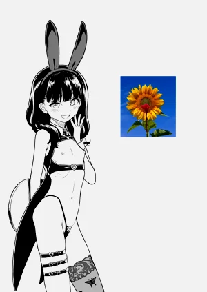 第250頁圖